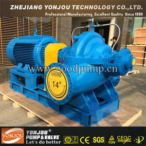 Single-Stage Double Suction Centrifugal Pump with SGS